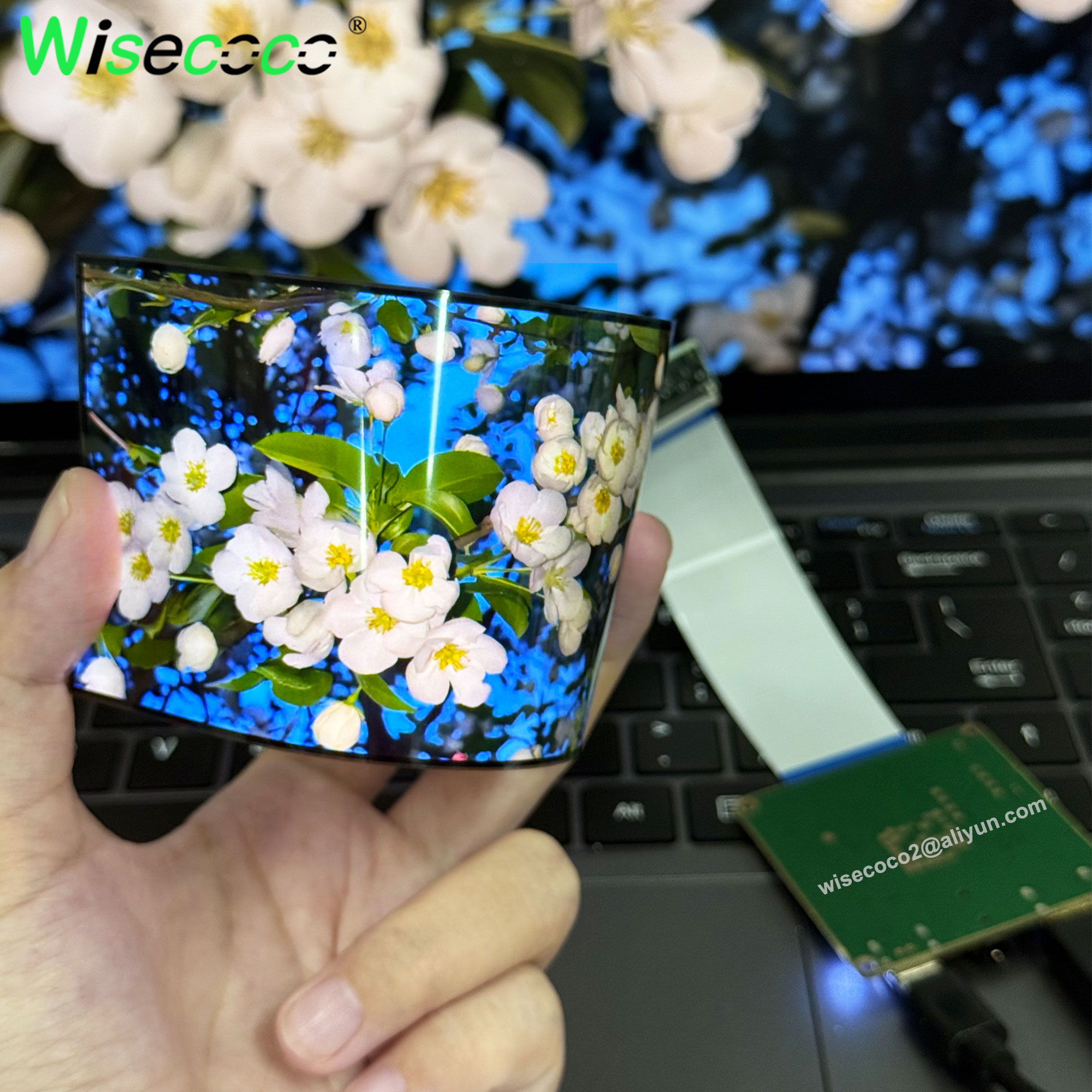 Wisecoco 5 Inch AMOLED Flexibl - Diy Wearable Electronics 评论和价格
