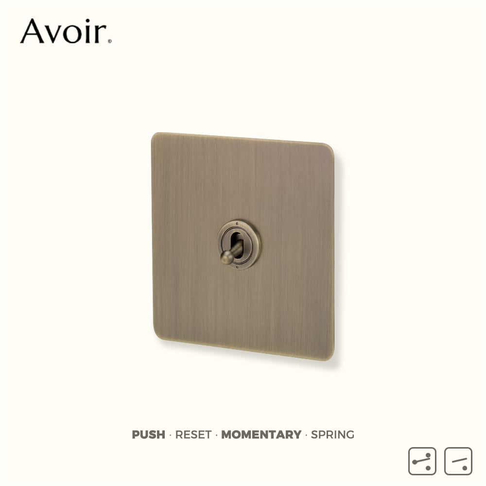 Avoir Retro Brass Momentary Sw - Push Button Tactile 评论和价格